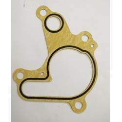 Guarnizione Pompa Acqua MONTESA 315